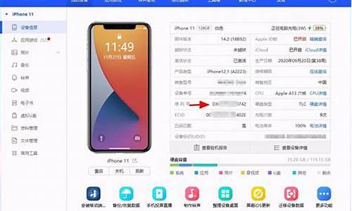 苹果110序列号查询_苹果110序列号查询激活